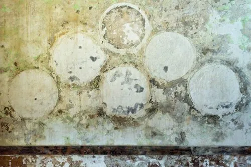 The Importance of Proper Attic Ventilation