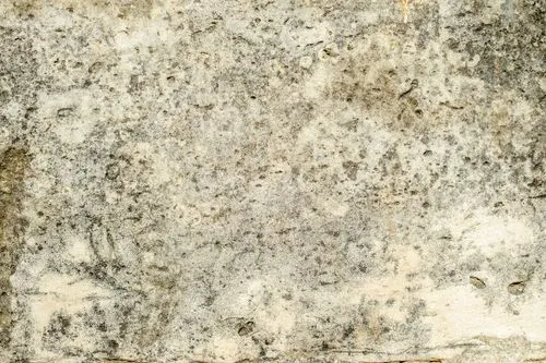 Crawlspace Ventilation Techniques: What You Need to Know